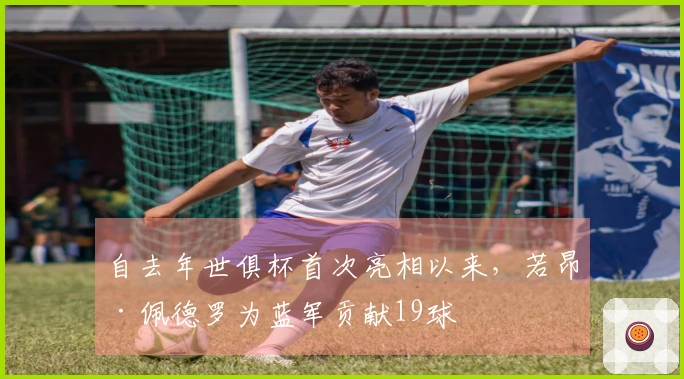 自去年世俱杯首次亮相以来，若昂·佩德罗为蓝军贡献19球