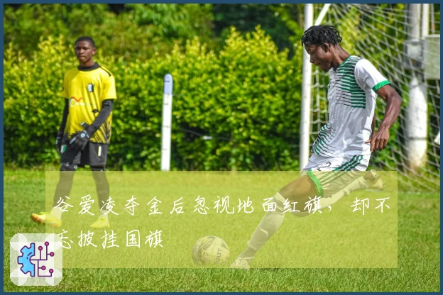 谷爱凌夺金后忽视地面红旗，却不忘披挂国旗